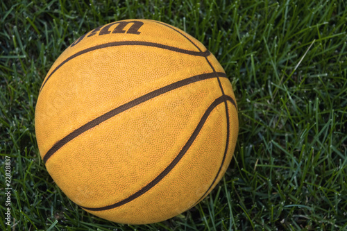 Basketball in Grass