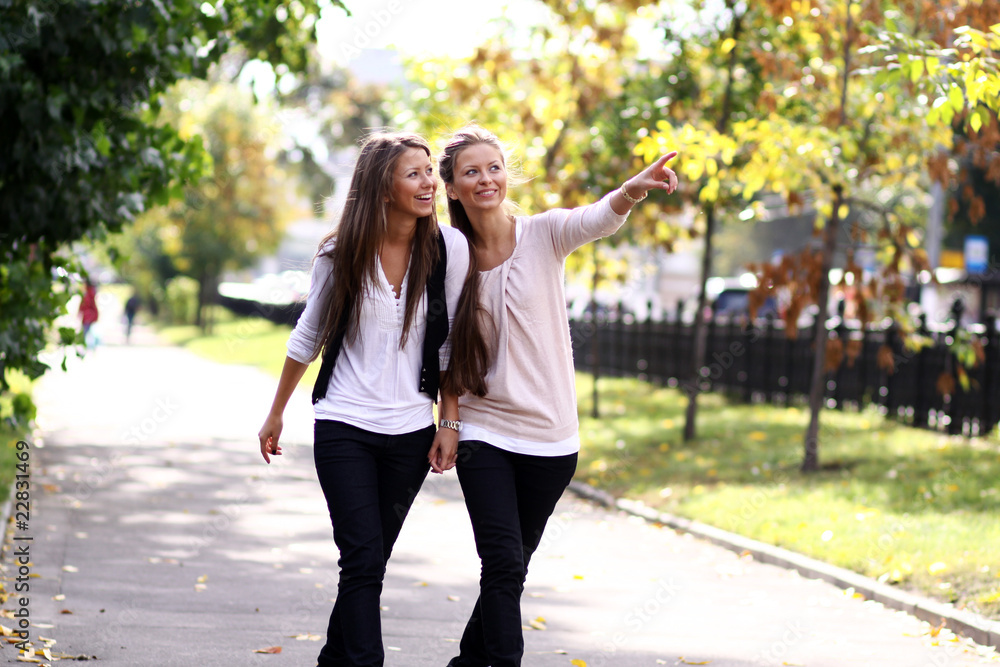 Two cheerful girls twins, in the street