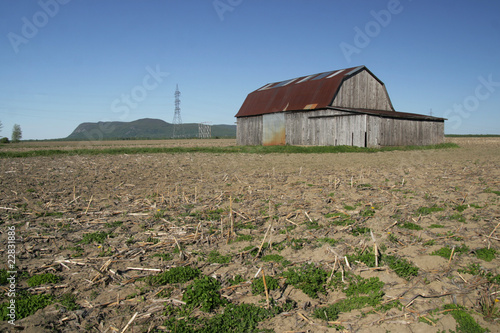 Billede på lærred Barn