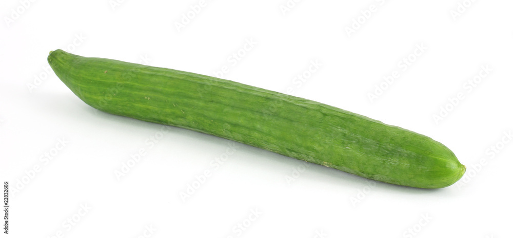 A single long European cucumber A single long European cucumber