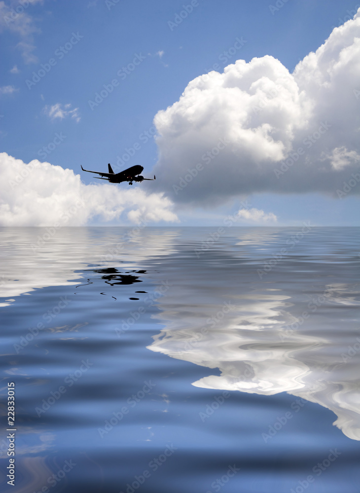 Fototapeta premium Airplane Silhouette