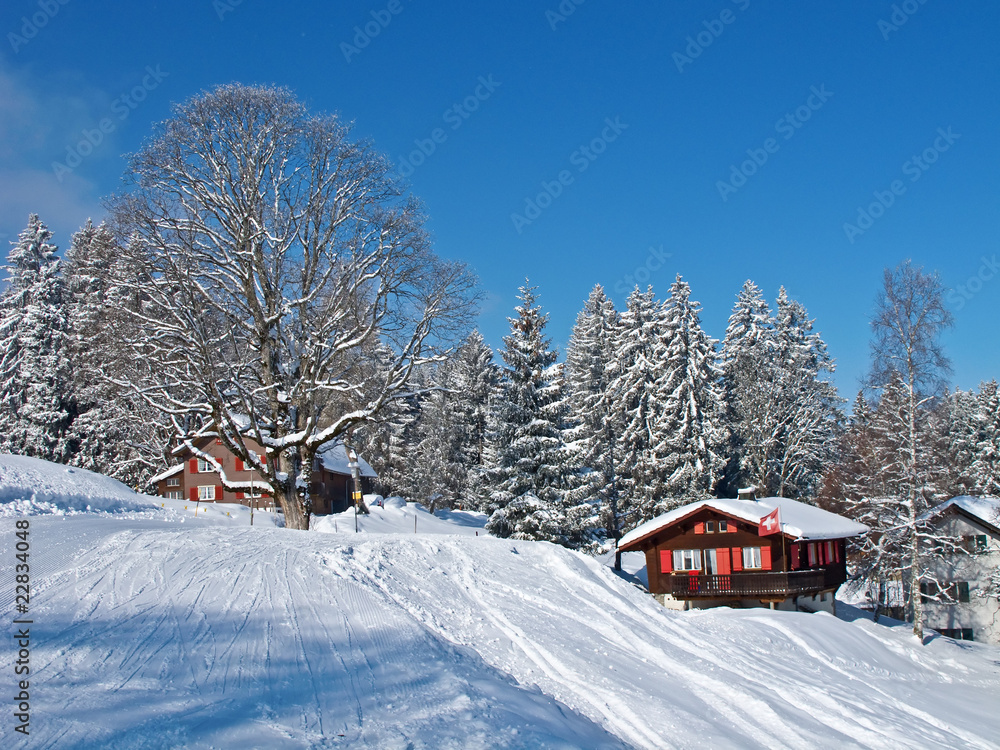 Winter holiday house
