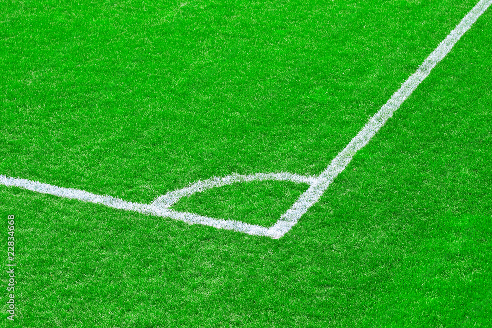 Fototapeta premium Footbal