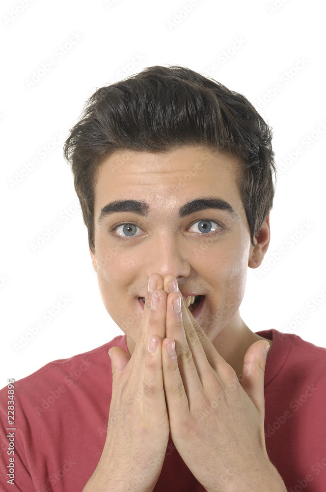Portrait of a handsome young man, Portrait of a handsome young man,