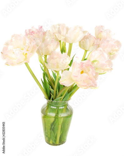 Fototapeta Naklejka Na Ścianę i Meble -  Beautiful pink piny tulips  in vase