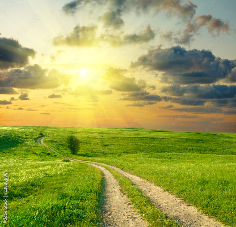 Obraz premium Summer landscape with green grass, road and clouds