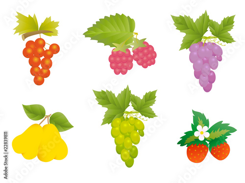 fruits and berries