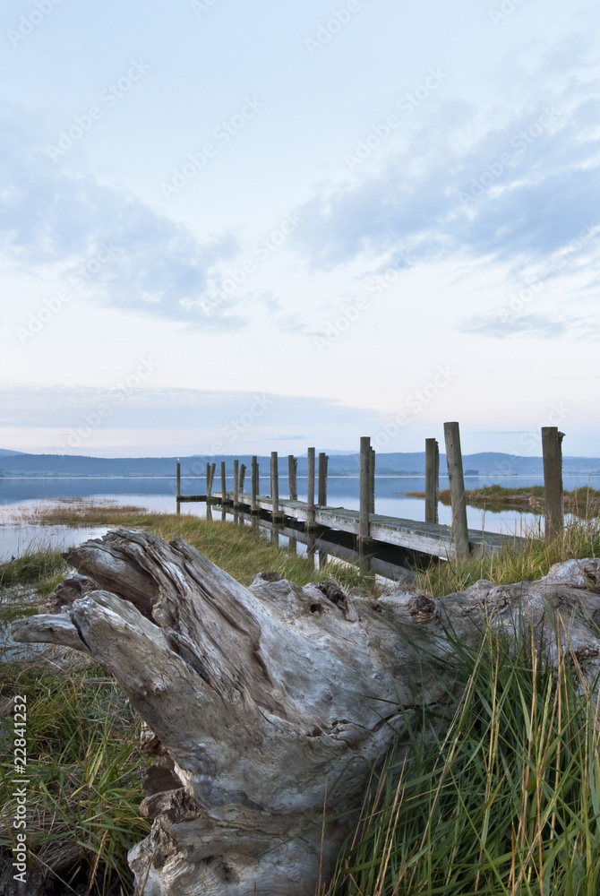 Jetty and grass at dusk, Tamar River, Tasmania, Australia Jetty and grass at dusk, Tamar River, Tasmania, Australia