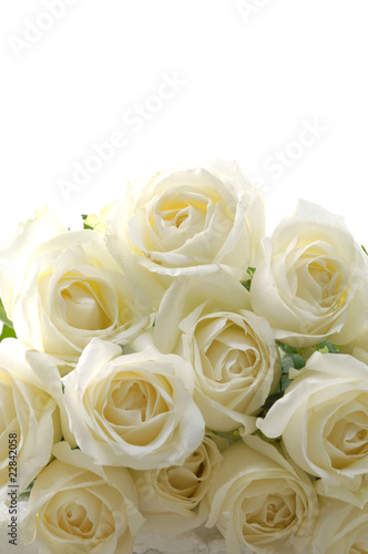 Bouquet of White Roses-texture