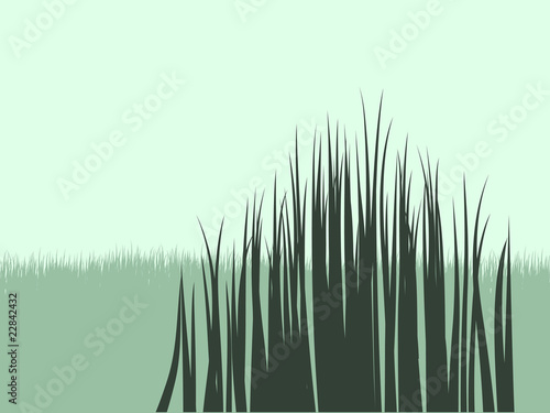 Grass Vector Shapes