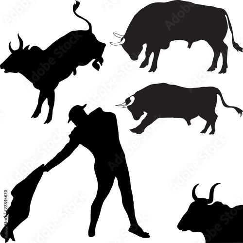 Bull and bullfighter