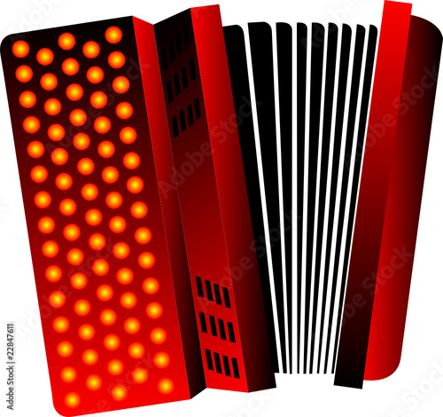 accordion vector illustration