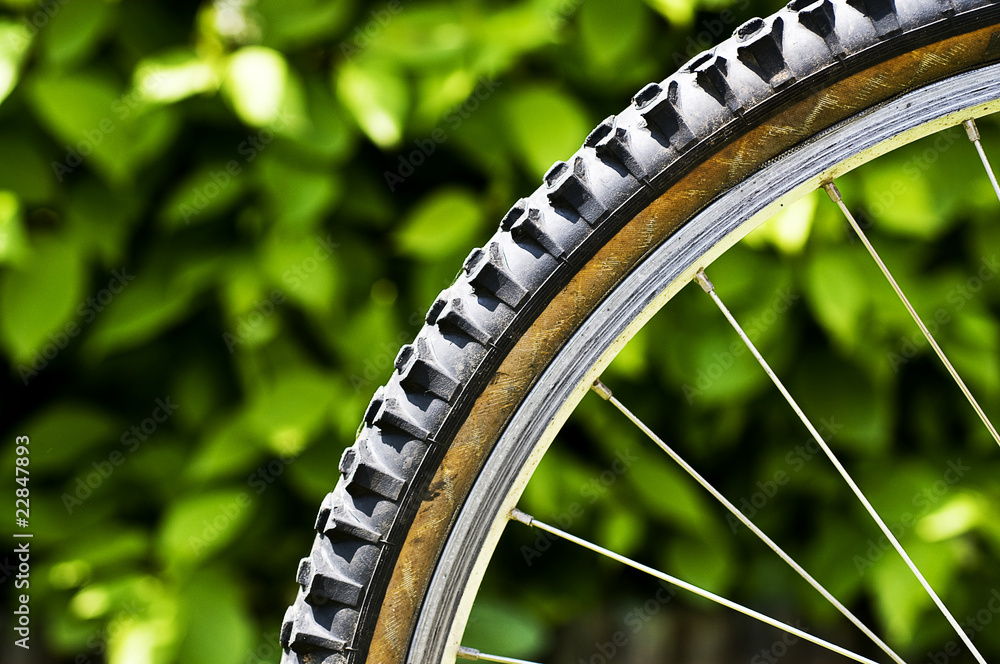Mountain bike tyre foto de Stock Adobe Stock