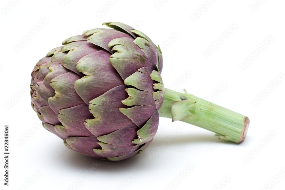 Obraz premium Organic Globe Artichoke