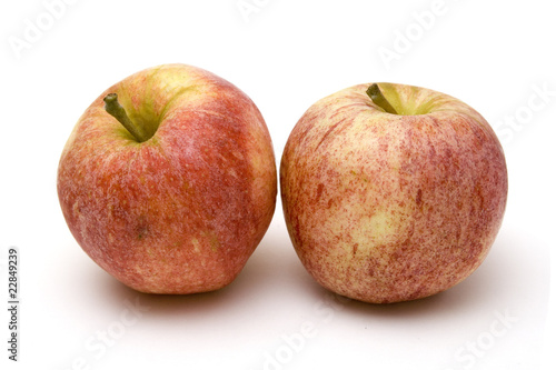 Organic Spartan Apples