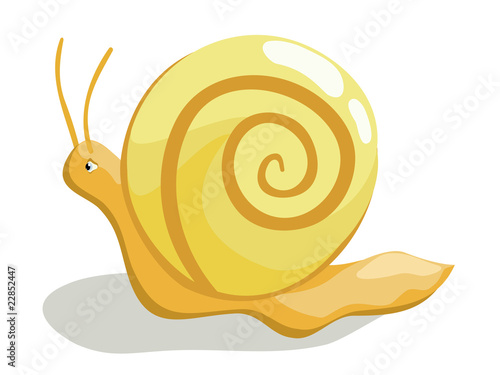 Beautiful creeping snail on white background