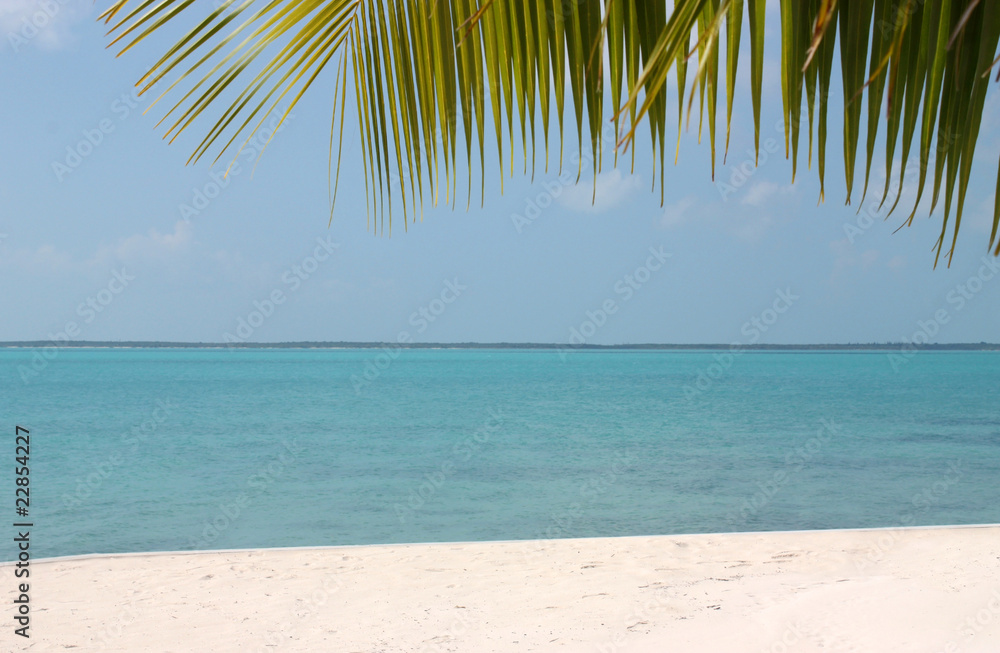 Fototapeta premium Vacation on the Beach