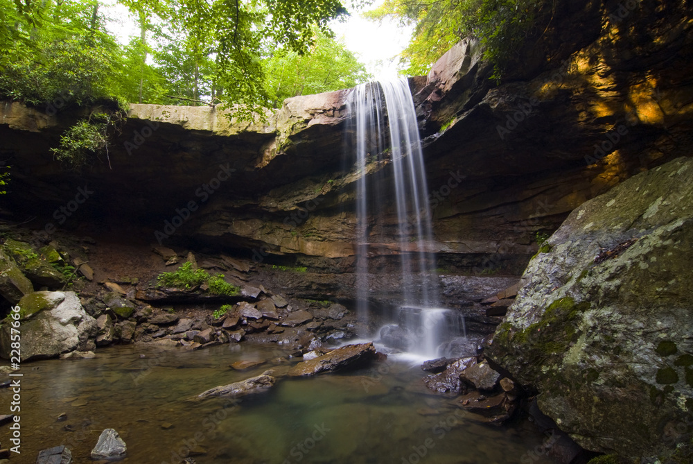 Fototapeta premium Secluded waterfall in a forest