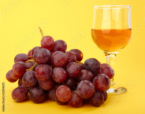 Branch of grape with wineglass