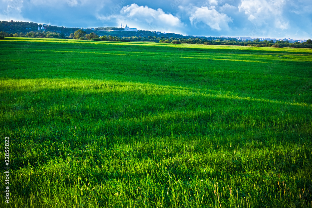 Fototapeta premium Green Field