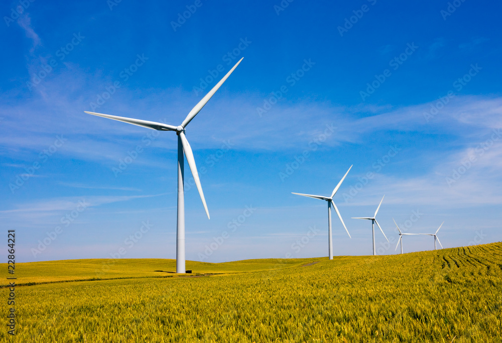 Wind turbines farm