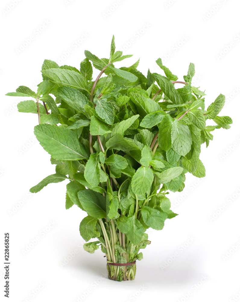 Spearmint herb