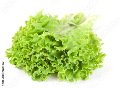 Lettuce leaf bunch