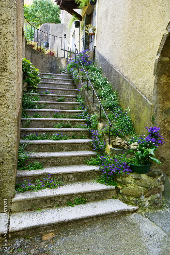 Fototapeta premium Kwiecisty schody w wiosce Provence