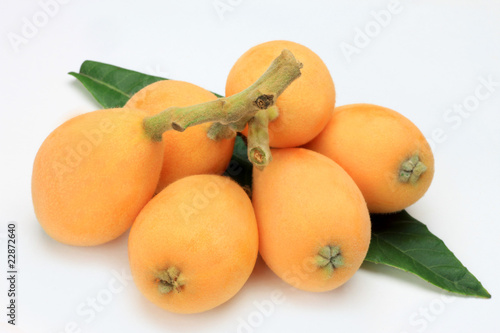 loquat