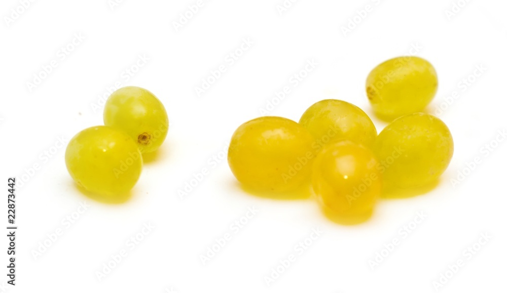 Grape isolated Grape isolated