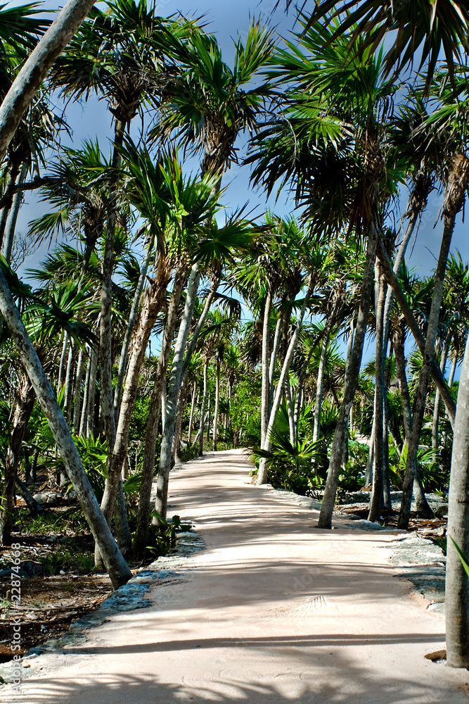 Obraz premium Sposób