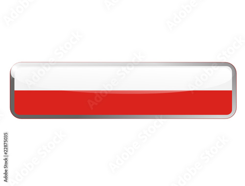 bouton web ou vignette drapeau polonais design