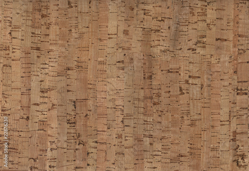 Cork texture #01