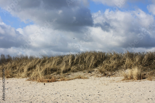 sand dune ©