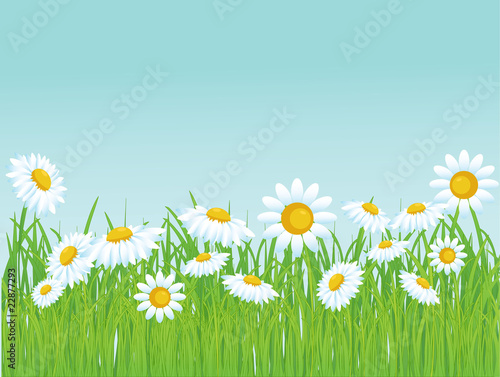 vector grass with flowers