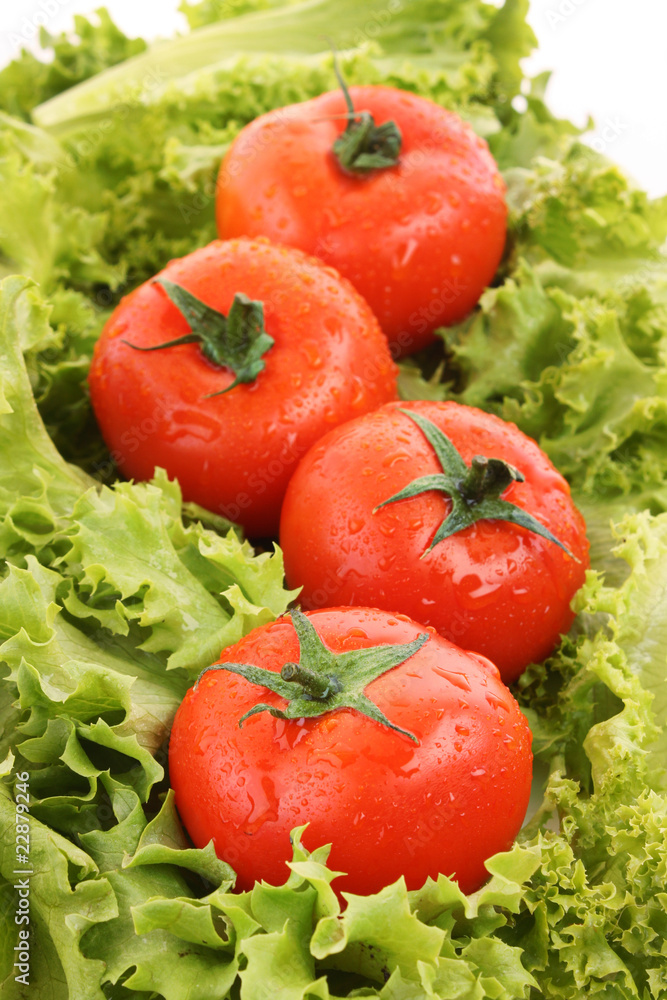 red tomato vegetables on the green salad background red tomato vegetables on the green salad background