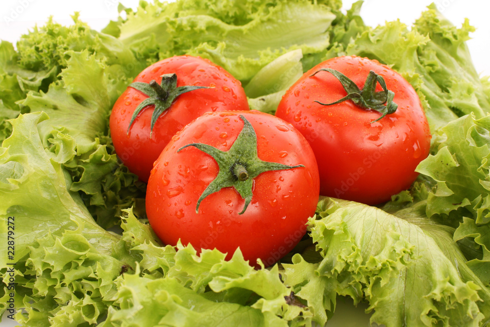 red tomato vegetables on the green salad background red tomato vegetables on the green salad background