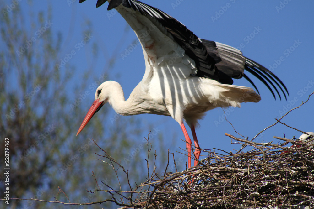Naklejka premium Abflug