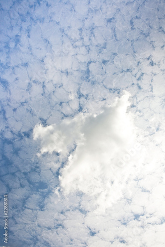 sky with harmonic cloud structure photo