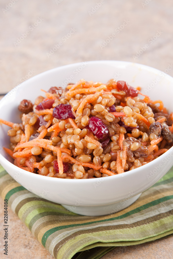 Vegan Salad - Wheat Berry Salad with Cranberries and Nuts Vegan Salad - Wheat Berry Salad with Cranberries and Nuts