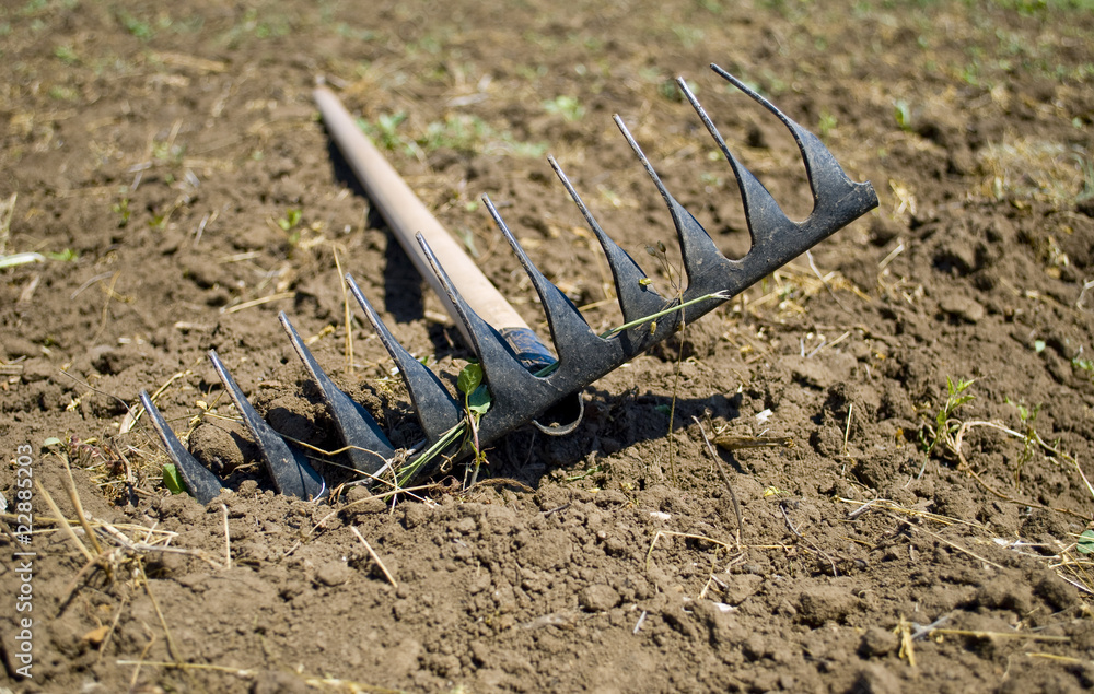 Rake lying on the plowed plot Rake lying on the plowed plot