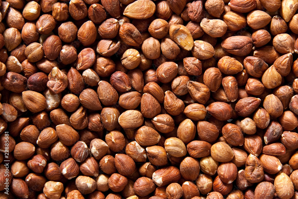 Hazelnuts Hazelnuts