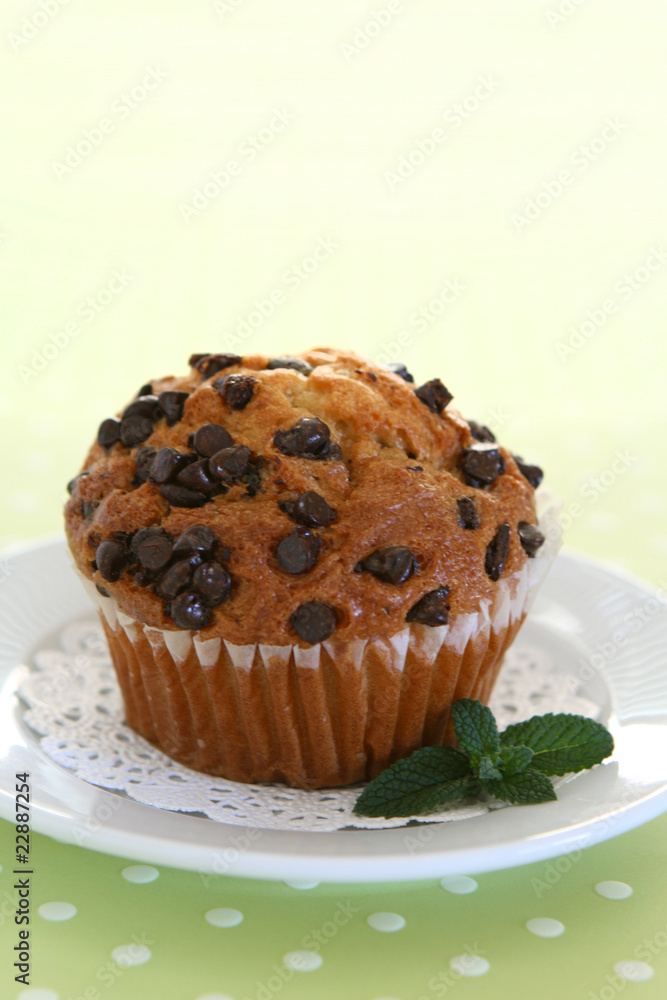 Chocolate Chip Muffin Chocolate Chip Muffin