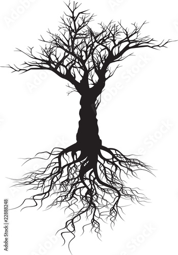 Tree silhouette