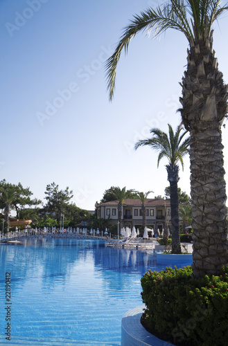 palm trees near blue pool i...