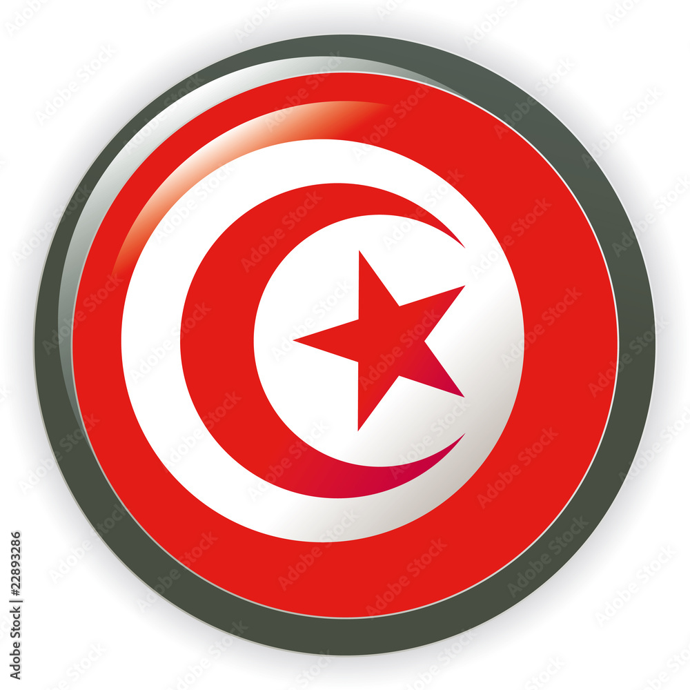 TUNISIA, shiny button flag vector illustration TUNISIA, shiny button flag vector illustration