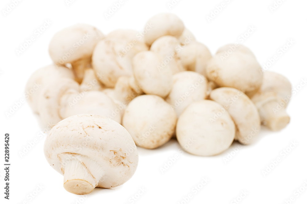 Heap of of mushroom champignon isolated on white background Heap of of mushroom champignon isolated on white background