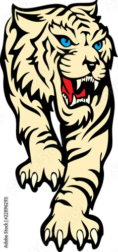 tiger