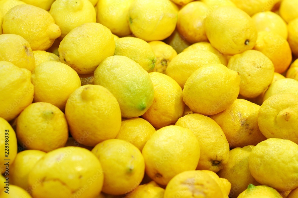 Ripe lemons for fresh lemonade Ripe lemons for fresh lemonade