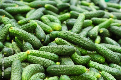 Fresh cucumbers in supermarket